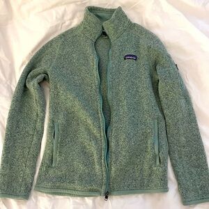 Patagonia Women's Better Sweater light green